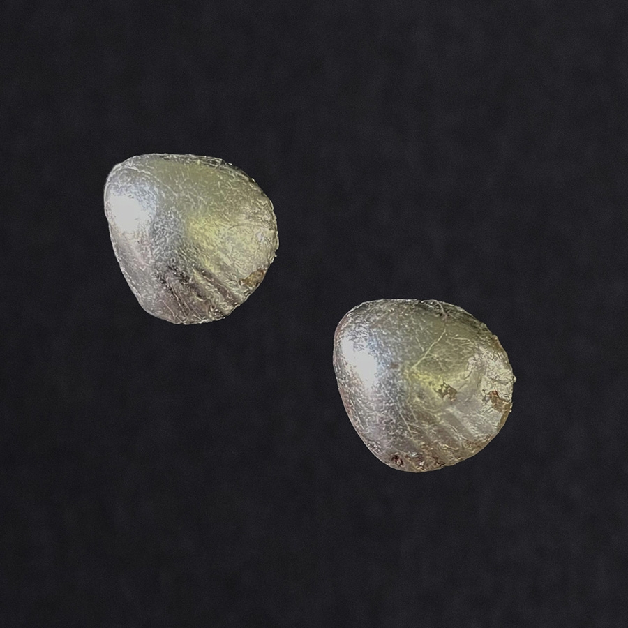 Ohrschmuck