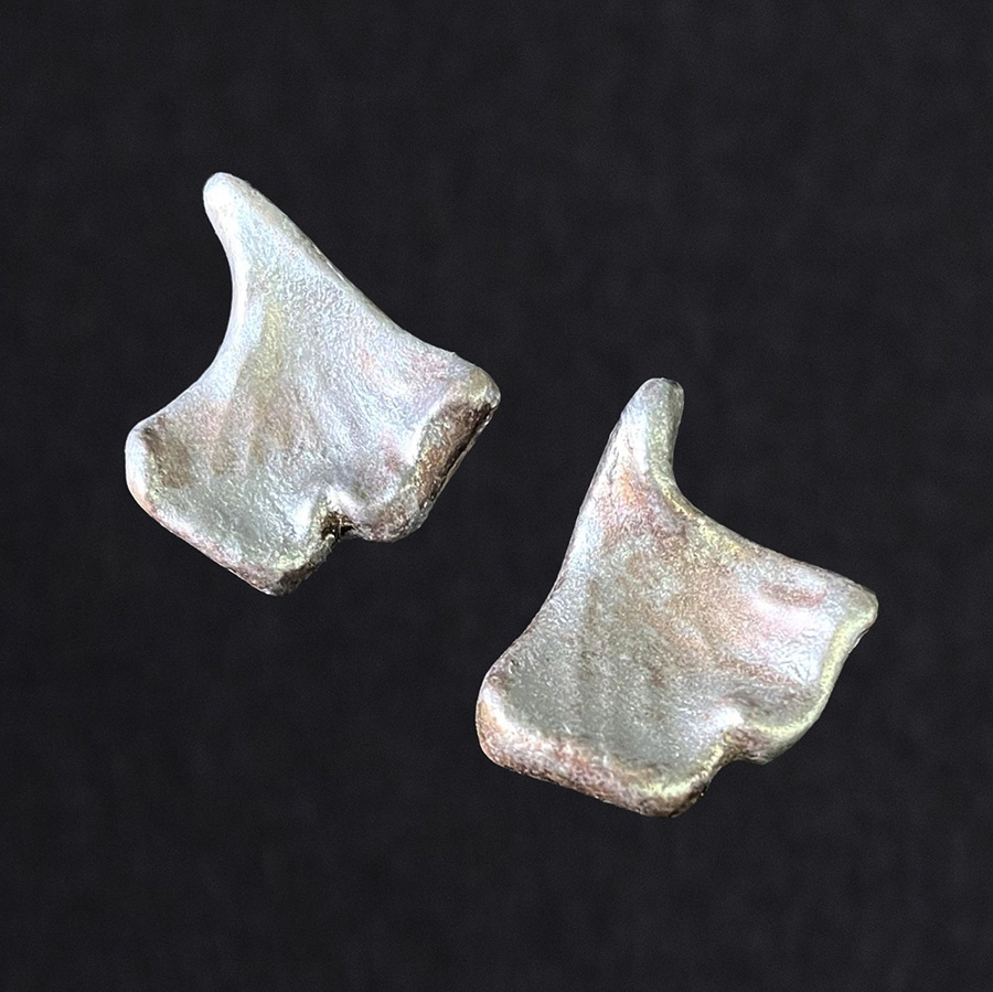 Ohrschmuck
